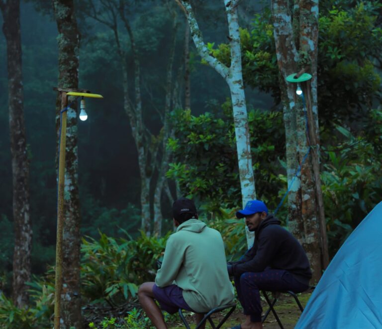 Tree House Camping